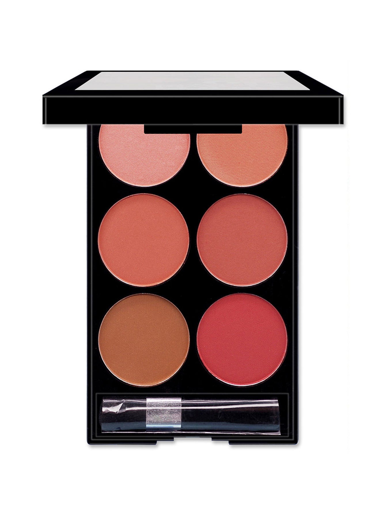 Multi-color Six-Color Blush