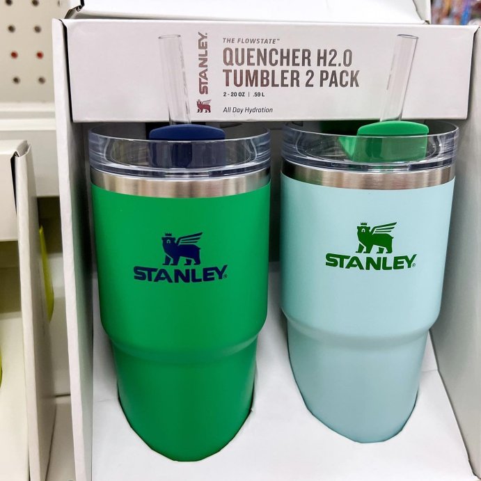 Stanley 2pk 20oz Tumblers - Meadow/Watercolor Blue