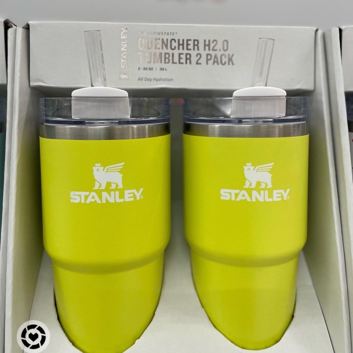 Stanley 2pk 20oz Tumblers - Meadow/Watercolor Blue